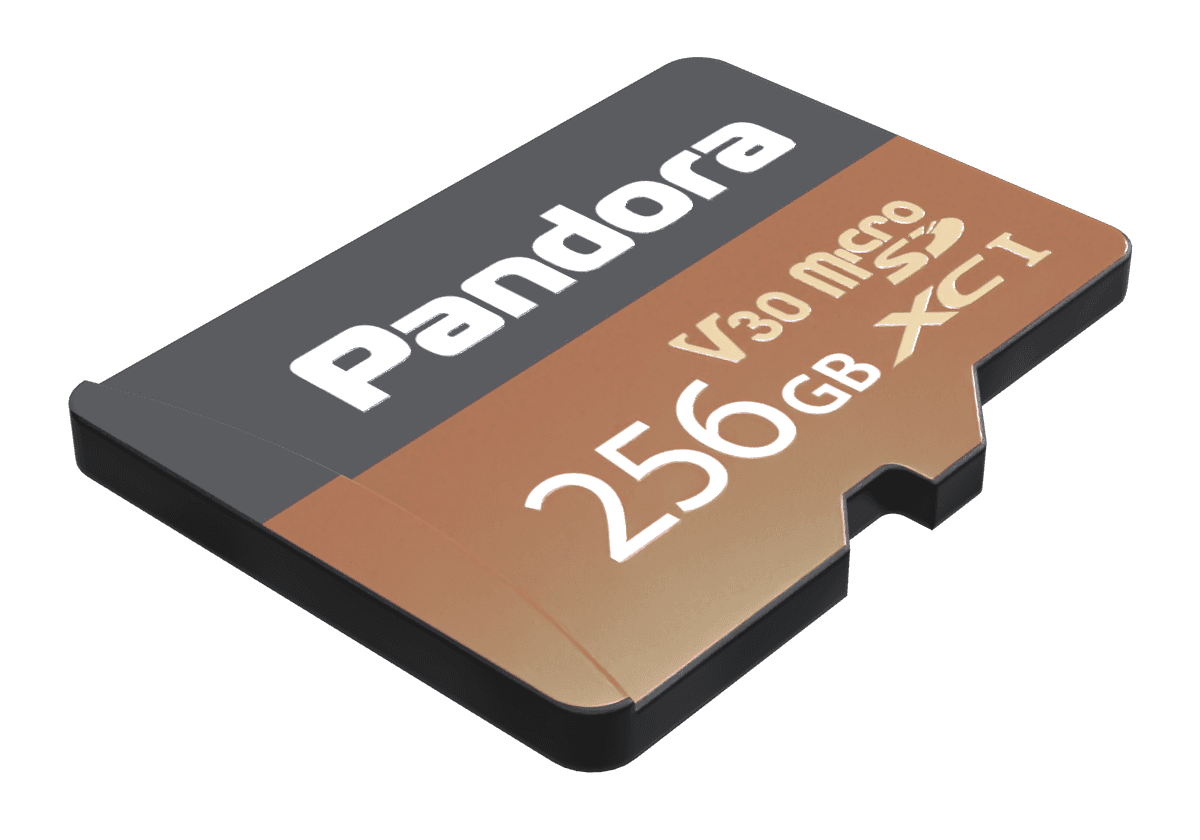 microSD 256