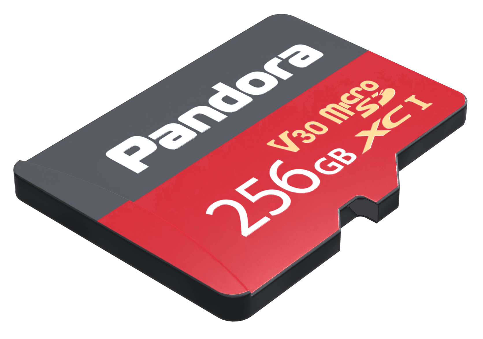 microSD 256